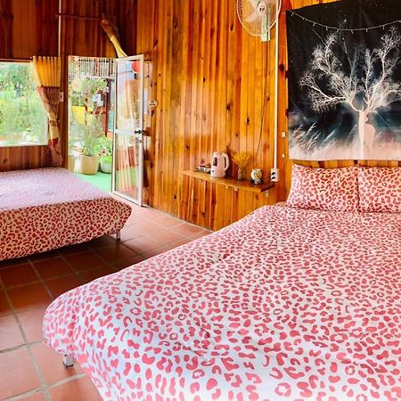 Moc Gia Vien Homestay - ดาลัด ภายนอก รูปภาพ